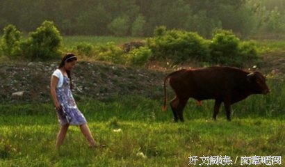 迥然不同格言警句