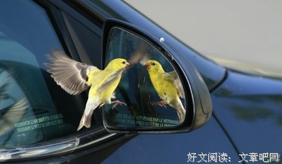 爱美格言警句