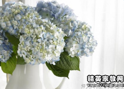 关于踏实的格言