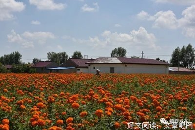 不畏年龄，随时有底气去爱任何人