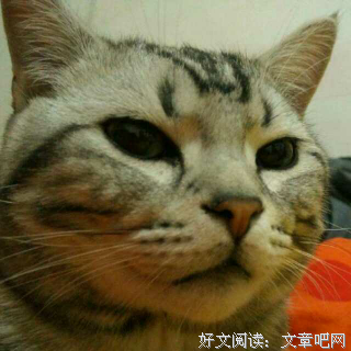 一个渣男的自白：我想被爱