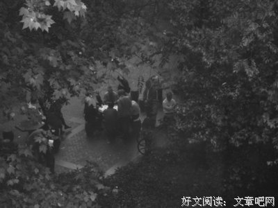 有关杂感的句子