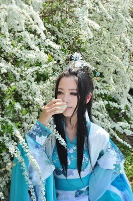 关于唐七公子的优美句子