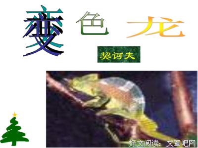 关于R·J·帕第便么之打奥经典句子