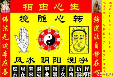 额头光泽看财运！双眉相连多波折！【真人看相】