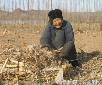 2岁儿子的一句话看哭无数人：你永远不知道，孩子有多爱你
