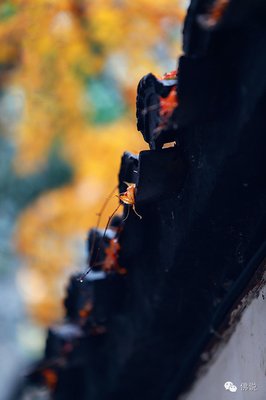 宽容，竟然那么美！