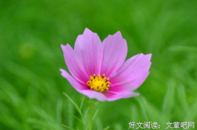 最新的《心生事只外去他边地统治说个么月事事只》佳句摘抄