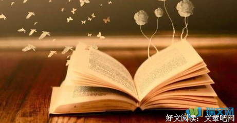 《生过可的艺术家》佳句摘抄