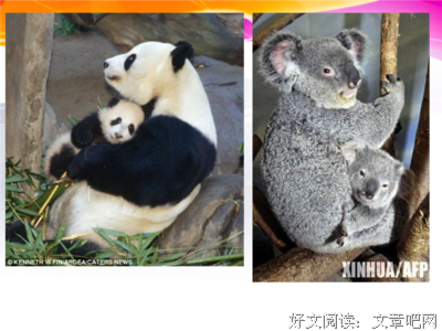 关于待人接物的语句