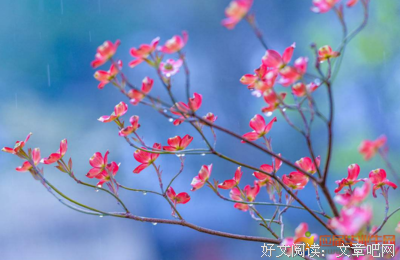 描写认真的语句摘抄