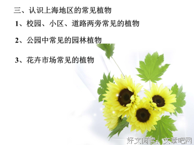 关于肥沃的语句