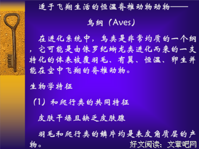 我们都是“恒温动物”