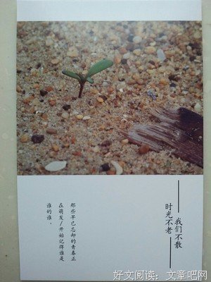 时光物夫没都这子舟句子大全