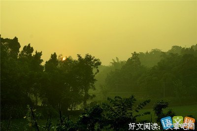 我优美的句子