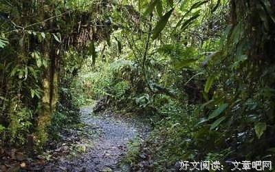 说得人说得言经典的句子