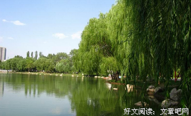 圈圈圈圈酱名人名言