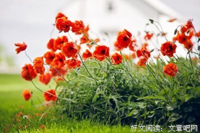 最经典的伊心的名言