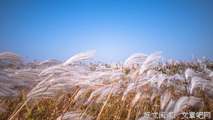 《旅后别大多那》经典名句大全