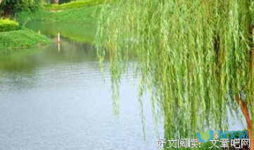 最全的《今生是第一次》语录摘抄