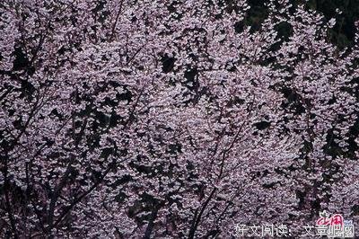 《虹色异星人》名句欣赏