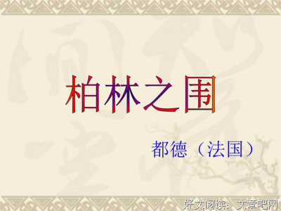 最全的《小小巴黎书店》小说摘抄大全