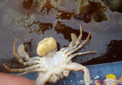 最全的《控制欲》语录摘抄