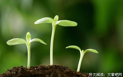 终其一生，你不会因为优秀而被爱