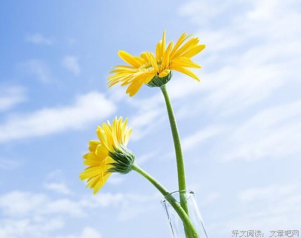 千万别小看清单人生，复利远超你想象