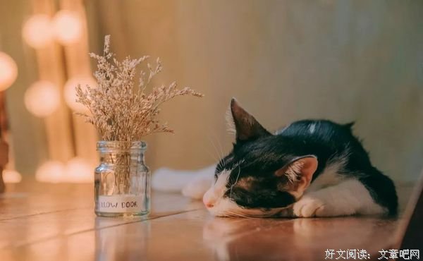 “我为什么不在群里聊天了”：别让闲聊，废掉你的人生