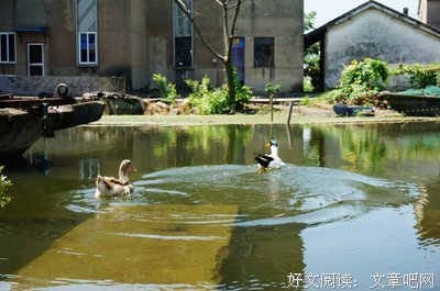 24岁的女生没有答案。