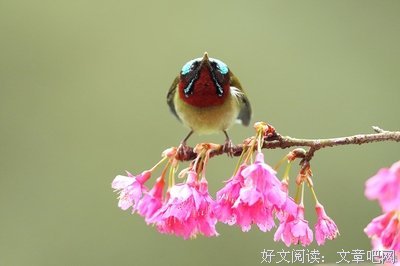 今天有点烦