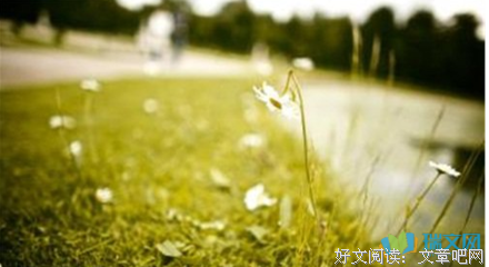 关于衣食住行的唯美语录