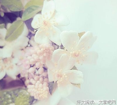 寂寞的句子