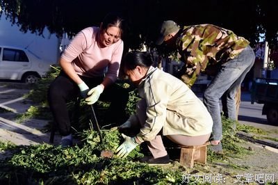 女儿劝妈妈：离婚吧，我也帮不了您