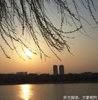 晨起夕落·阳优美的句子