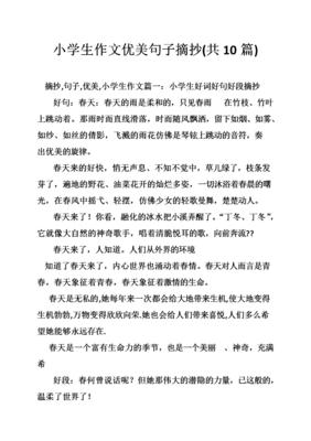 作文学气地好的句子