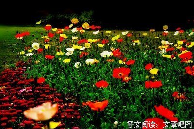 虞美人名句欣赏