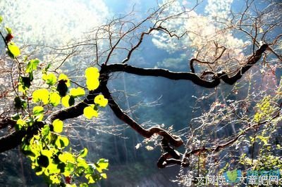 最新的《你能不能不撩我》名句欣赏