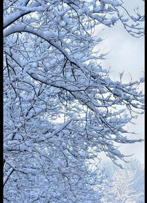 最经典的《雪》经典名句
