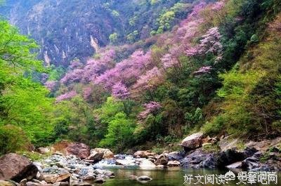 最经典的《不羁》小说句子