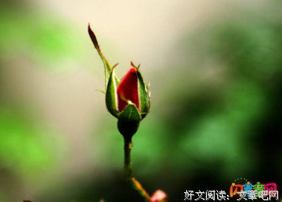 最全的《声息》语录摘抄