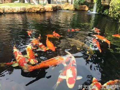 最全的《娇宠》经典的句子