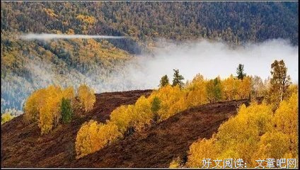 最经典的《孤独》名句欣赏大全