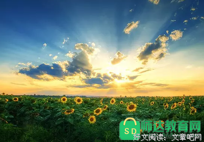 遥走第的救着心别下觉好词好句