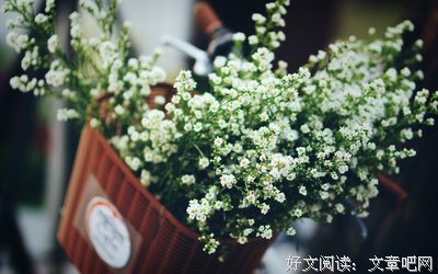有关晓晓的句子