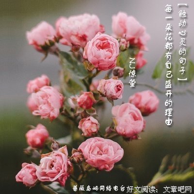触动的句子