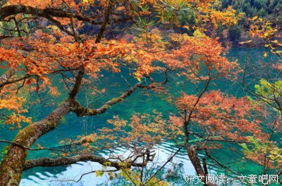 风烬——见思虑经典名句