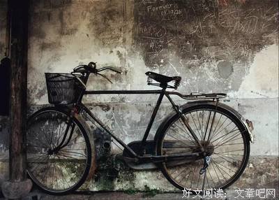 苏童名言