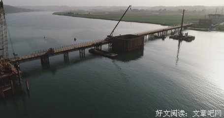 2019渡渡名言